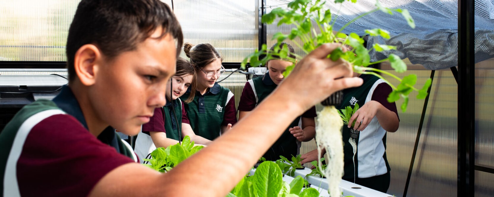 Students at Pacific Pines State High School inspect hydroponic plants and their roots inside a Food Ladder greenhouse.