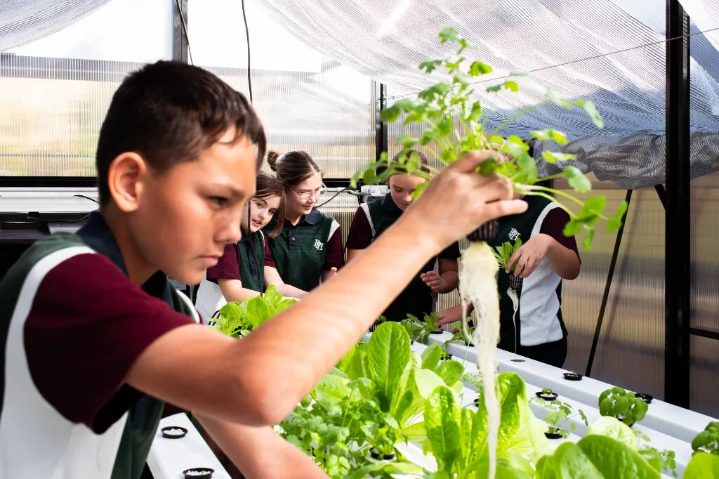 A student in a Food Ladder greenhouse lifting a hydroponic plant to inspect its roots during a hands-on lesson.
